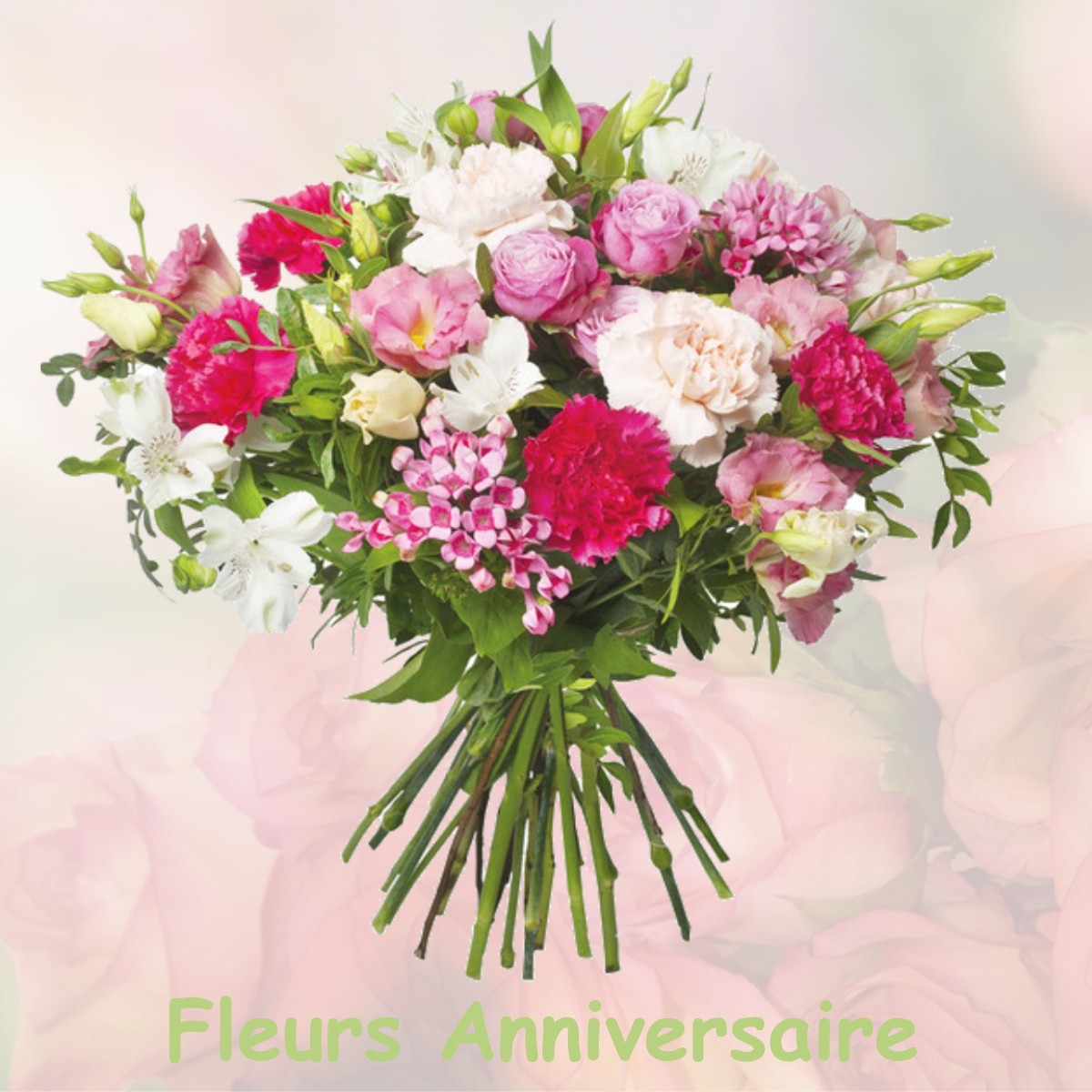 fleurs anniversaire VILLENEUVETTE